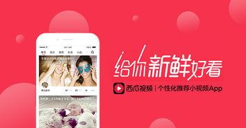 娱乐吃瓜的视频封面怎么制作的