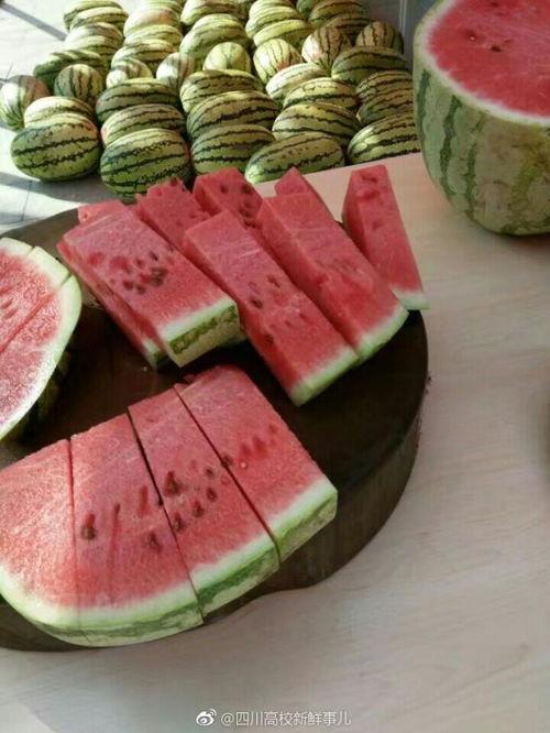 吃瓜大赛图片,一场视觉盛宴的狂欢瞬间